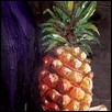 Pineapple delight