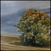 The Trees Stay