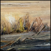 The Frozen Field