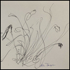 Flowers in the Wind