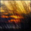 BOGUE SOUND SUNSET -- Artist: Mark Dierker Size: 18" x 24" Medium: Photography Price: $350.00