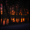 ROCK RIVER SUNRISE -- Artist: Mark Dierker Size: 18" x 24" Medium: Photography Price: $350.00
