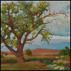 Flint Hills Tree