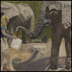 the Elephant Artist