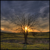EDGE OF DAY -- Artist: Crystal Nederman Size: 20" x 16" Medium: Photography Price: $255.00 ***SOLD***