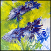 blue flowering