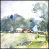 Summer Fields