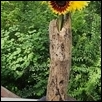 Driftwood Vase with Meadowlark