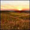 PRAIRIE PEACE -- Artist: Barbara Van Slyke Size: 15" x 10" Medium: Photography Price: $200.00