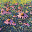 CONE FLOWERS -- Artist: Jean Terry Size: 14" x 11" Medium: Pastel Price: $350.00