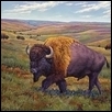 ROAMING THE PRAIRIE -- Artist: Jean Terry Size: 24" x 20" Medium: Pastel Price: $995.00