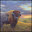 TWILIGHT SENTINEL -- Artist: Jean Terry Size: 24" x 18" Medium: Pastel Price: $995.00