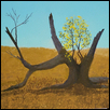 Chase Couty Resilience