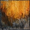 Sunset in the Grasses