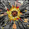Sunflower Burst