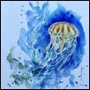 Jelly Fish (Sea life series 1)