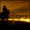 Cowboy at Prairie Burn