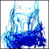 BLUE JELLY FISH -- Artist: Lisa Healey Size: 11" x 14" Medium: Photography Price: $225.00