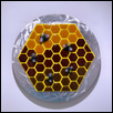Making Honey