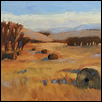 Late fall, Flint Hills