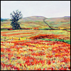 Tallgrass Prairie National Preserve-IV