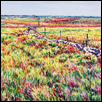Tallgrass Prairie National Preserve-I