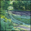 ENCHANTED MORNING -- Artist: Cris Chapin Size: 12" x 16" Medium: Pastel Price: $700.00