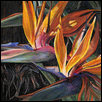 BIRDS OF PARADISE -- Artist: Holly Schenk Size: 40" x 30" Medium: Acrylic Price: $2,800.00