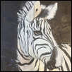EVERY STRIPE HAS A STORY