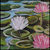 Lilly Pond