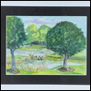 Kauffman Legacy Lake