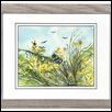 Dance of the Dragonflies