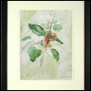 PERSIMMONS -- Artist: Christi Patterson Size: 11" x 15" Medium: Watercolor Price: $350.00