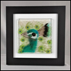 REGAL PLUMAGE -- Artist: Barb Byrne Size: 10" x 10" Medium: Glass Price: $310.00