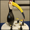 toucanous bowlous