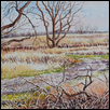 Flint Hills Trail