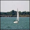 Sailing in Milford