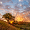 SHADOW VALLEY SUNSET -- Artist: John Morrison Size: 32" x 16" Medium: Photography Price: $480.00