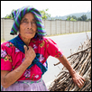 Old Guatemalan Woman Selling Kindling