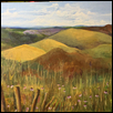 Bug's View of Konza Prairie