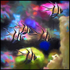 Colorful Fish