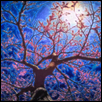 ENCHANTED TREE -- Artist: Wendy Delzeit Size: 20" x 16" Medium: Digital Media Price: $450.00
