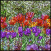 Stained Glass Tulips