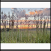 Prairie Morning I