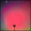 SCRAPPY'S BOREALIS DANCE -- Artist: Kevin Kirkwood Size: 12" x 18" Medium: Photography Price: $230.00