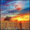 Prairie Fence Cross Sunrise.