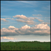 Flint Hills Pasture