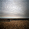 Nehring Branch Overlook II