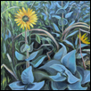 Ashy Sunflower: August 2026