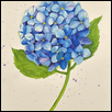 Blue Heaven